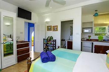 Beyazev Villa St. George's 格林纳达